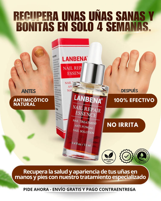 TRATAMIENTO ANTIHONGOS