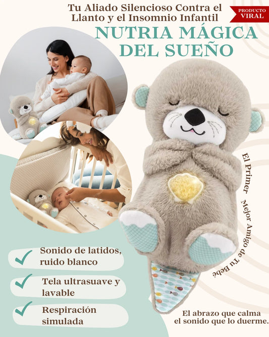 Nutria Mágica del Sueño